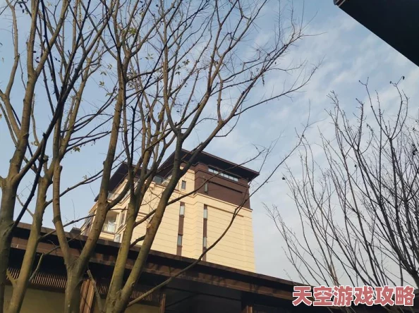 《方舟：生存进化》游戏更新揭秘：最新睡觉功能操作键是哪个建？